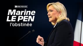 Marine Le Pen, l'obstinée.