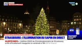 Strasbourg: l'illumination du grand sapin de Noël