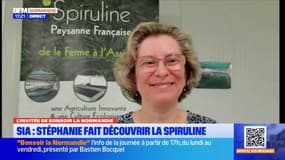 Salon de l'agriculture: un stand pour découvrir la spiruline du Calvados
