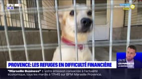 Marseille: le refuge Saint-Roch face à l'augmentation des coûts et l'inflation