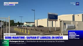 Seine-Maritime: Safran et Lubrizol en grève