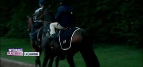 Trêve : la jument star du Qatar Prix de l'Arc de Triomphe