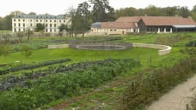 Le restaurant Le Doyenné a été nommé table de l'année par le guide du Fooding 2023, il se trouve au cœur du parc du château de Saint-Vrain.