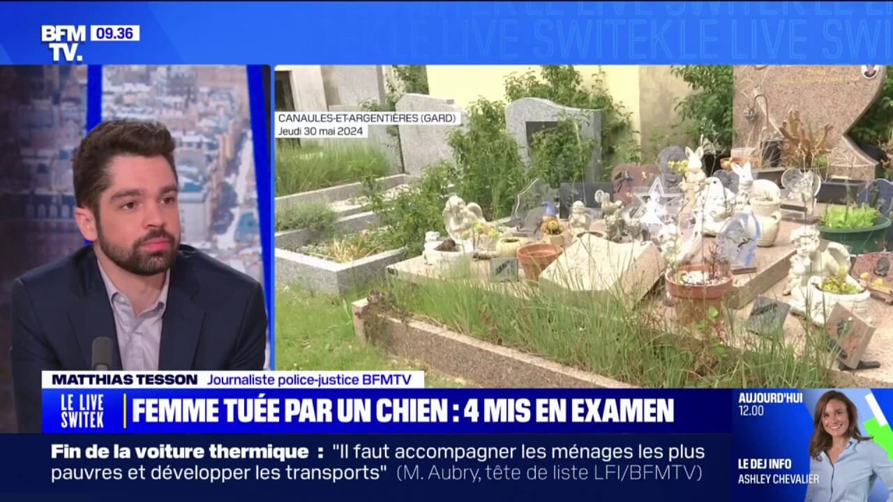 Gard: une femme de 93 ans meurt après avoir été attaquée par un chien dans  un cimetière, quatre personnes mises en examen