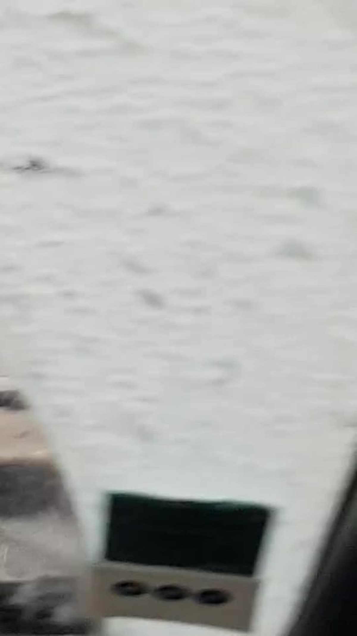 placeholder video