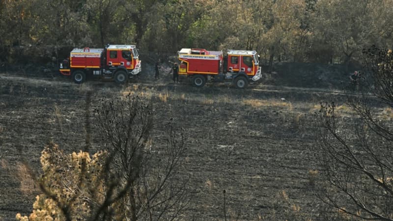 "Une saison plus que jamais à haut risque": le retour des fortes chaleurs ravive l'inquiétude liée au risque d'incendie