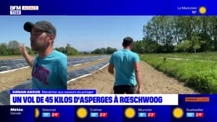 Bas-Rhin: un vol de 45 kg d'asperges à Roeschwoog
