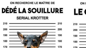 La campagne de la ville de Mondeville contre les déjections canines