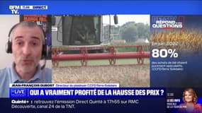 Qui a vraiment profité de la hausse des prix dans l'alimentaire? BFMTV répond à vos questions