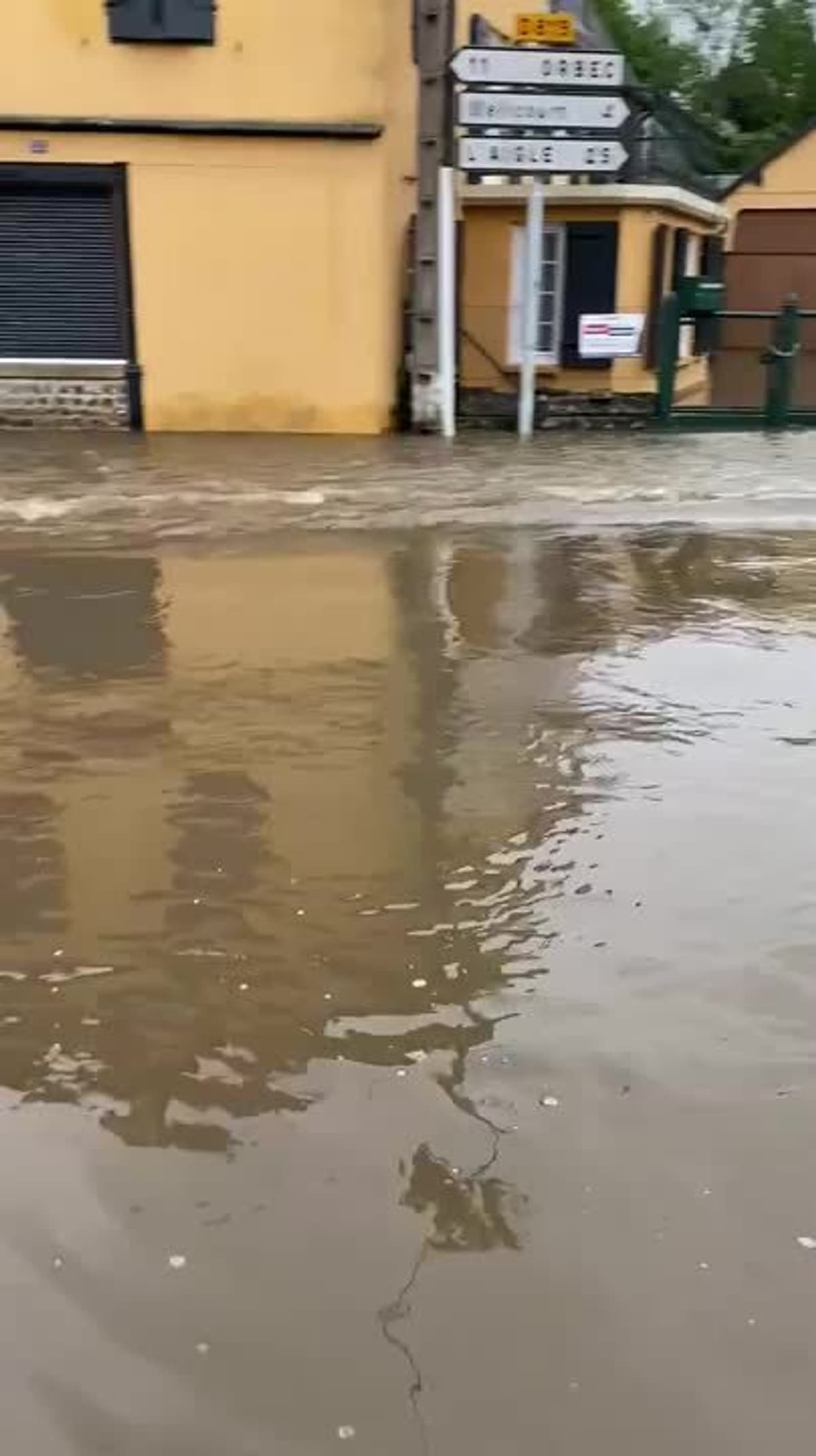 placeholder video