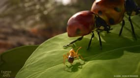 Les Fourmis arrivent aussi en jeu vidéo