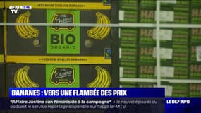 Pourquoi le prix des bananes risque-t-il de flamber ?