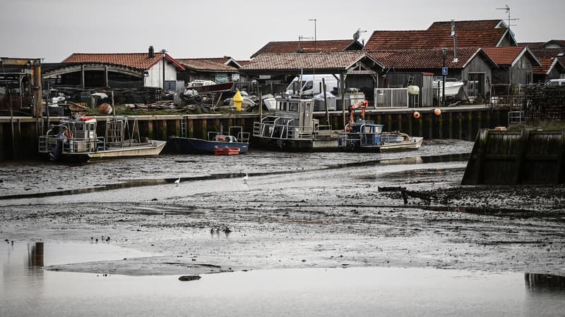 Huîtres contaminées du bassin d'Arcachon: la justice exige des travaux d'urgence