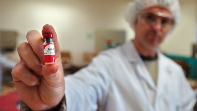 Un laborantin du laboratoire Merial de Lentilly (Rhône) montre un flacon de Rabisin, un vaccin contre la rage.