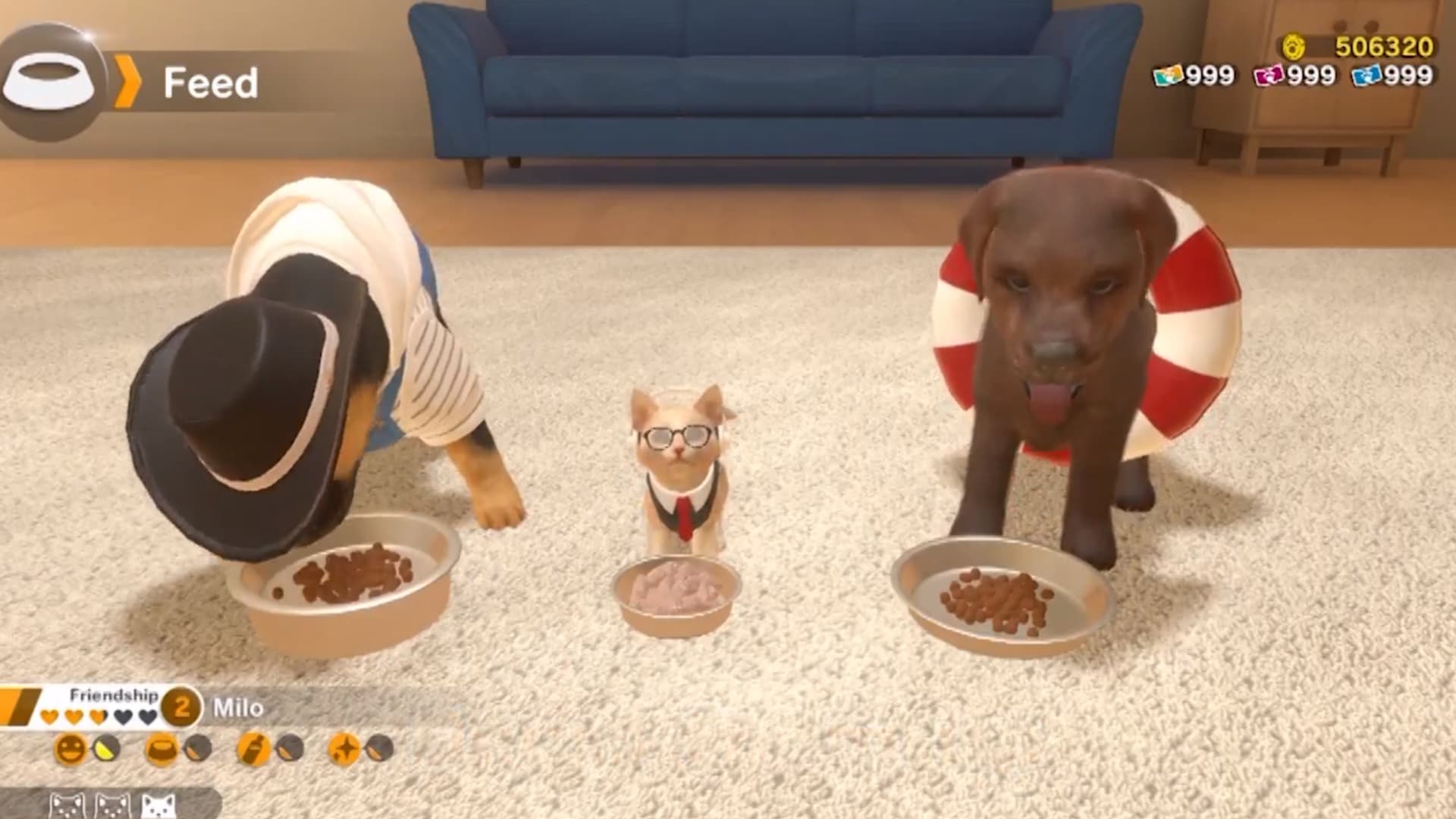 Il est possible de déguiser ses chiens et chats.