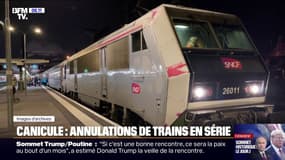 "J'ai 1h30 d'attente pour le prochain train": la SNCF annule plusieurs trains à cause de la canicule