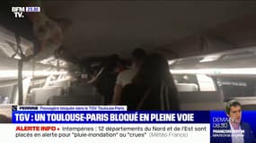 TGV Toulouse-Paris bloqué en pleine voie: une passagère témoigne