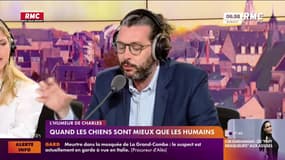 L'humeur de Charles : Quand les chiens sont mieux que les humains - 28/04