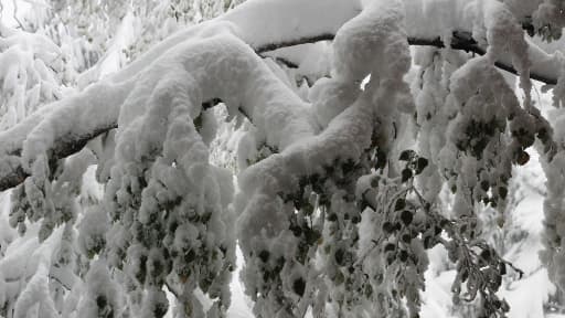 Echirolles, en Isère