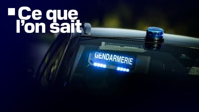 Une femme a été tuée par son ancien conjoint dans la nuit du 8 au 9 août à Saint-Jouan-des-Guérets.
