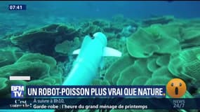 Un robot-poisson plus vrai que nature