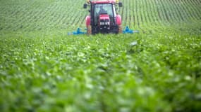 Un agriculteur conduit un tracteur dans un champ de soja, le 12 juillet 2021 à Peguilhan, dans le sud de la France