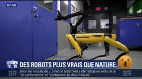Des robots plus vrais que nature