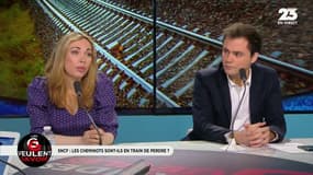 Grève à la SNCF: "Ce ne sont pas des privilégiés mais il faut à un moment donné revenir sur le contrat des rentrants"