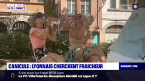 Canicule: les Lyonnais cherchent la fraîcheur