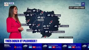 Météo Paris-Ile de France du 22 décembre: Très doux et pluvieux !