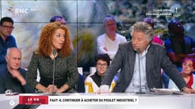 La GG du jour : Faut-il continuer à acheter du poulet industriel ? - 29/05