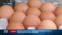 Les Français consomment de plus en plus d'œufs !