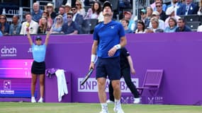 Andy Murray au Queen's, le 19 juin 2024