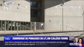 Marseille: un collège ferme, infesté par des punaises de lit