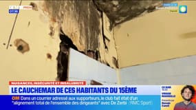 Le cauchemar de ces habitants du 15ème