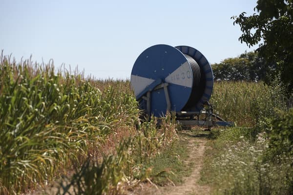 Un système d'irrigation à enrouleur dans un champ de maïs du Loiret en août 2020.
