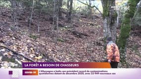 RMC chez vous : La forêt a besoin de chasseurs - 05/11