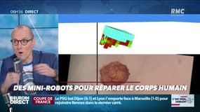 La chronique d'Anthony Morel : Des mini-robots pour réparer le corps humain - 13/02