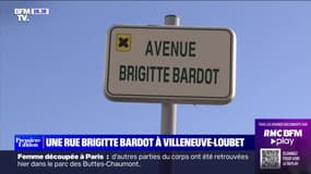 Le maire de Villeneuve-Loubet souhaite renommer une avenue au nom de Brigitte Bardot
