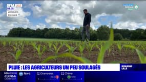 Pas-de-Calais: les agriculteurs un peu soulagés par la pluie