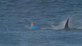 Le surfeur Mick Fanning l'a échappé belle. Il s'en est fallu de peu pour qu'il soit blessé ou tué par une requin.