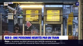 RER D: une personne heurtée par un train ce mercredi matin