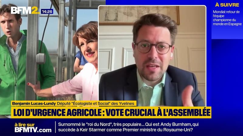 "Un recul sanitaire, environnemental et démocratique": la colère du député Benjamin Lucas-Lundy face à la réintroduction de l’acétamipride dans la loi d'urgence agricole