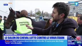 Paris: un salon du cheval sous surveillance avec la menace d'un virus équin