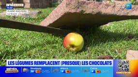 Bas-Rhin: les enfants partent à la chasse aux légumes à Plaine