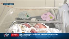 Où sont les bébés en France? L'appel de François Bayrou pour un "pacte national pour la démographie"