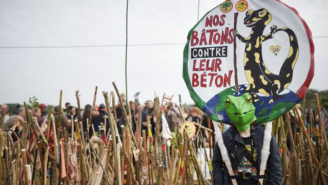 Des milliers de personnes ont défilé, bâton à la main, contre le projet d'aéroport de Notre-Dame-des-Landes