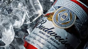 "Budweiser - le roi des bières". Photo d'illustration.
