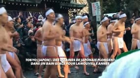 Japon: pour le nouvel an, ils plongent dans un bain glacé