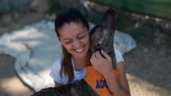 Kristal, une volontaire, joue avec des lévriers à Alhaurin de la Torre en Espagne dans un refuge pour chiens, le 19 juin 2015